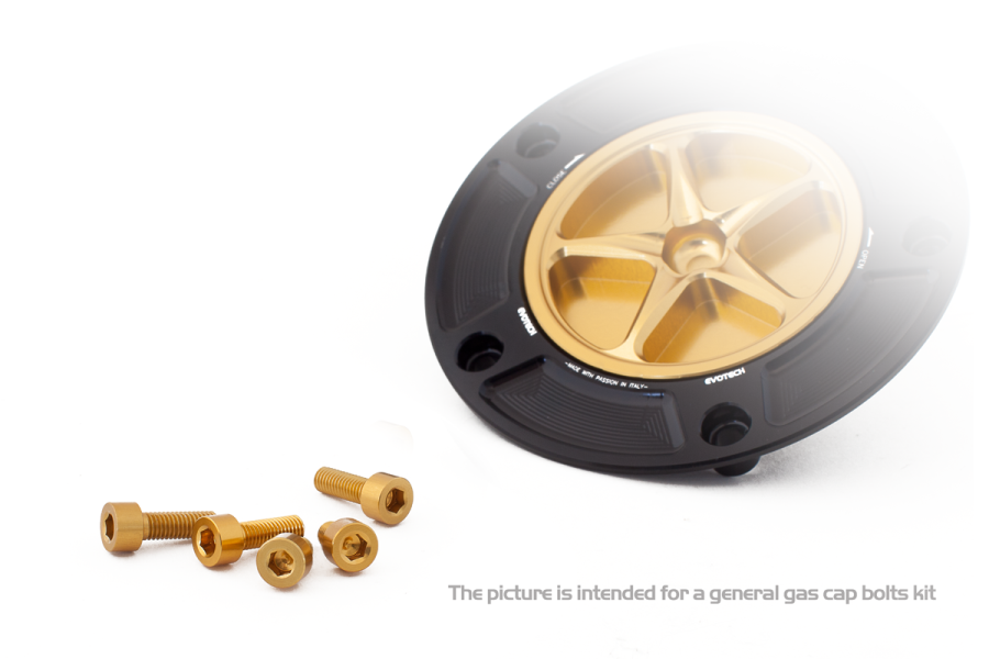Fuel cap bolts kit 042
