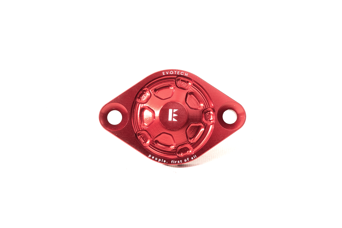 Cover ispezione fase Ducati Panigale V4